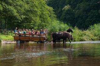 Camping Kohnenhof S.a.r.l.