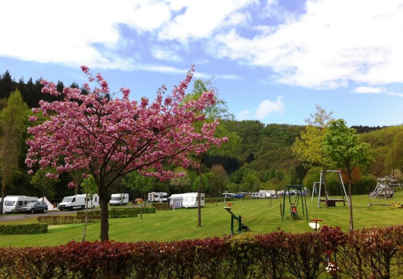 Camping Kohnenhof S.a.r.l.