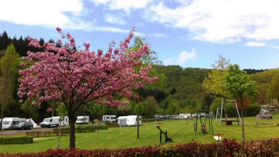 Camping Kohnenhof S.a.r.l.