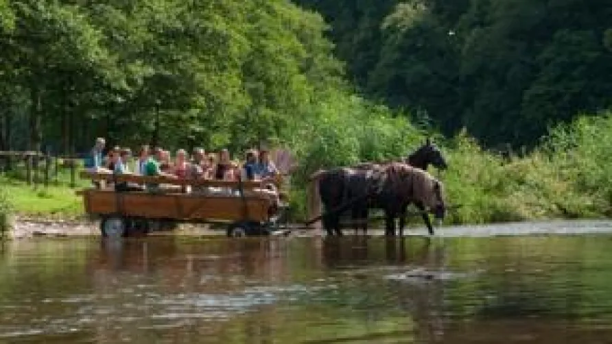Camping Kohnenhof S.a.r.l.