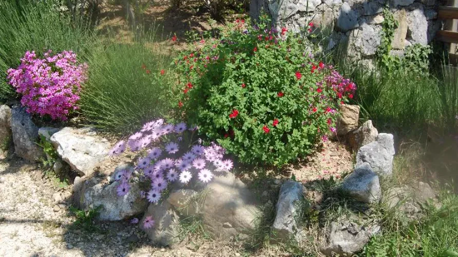 CAMPING LE VIEUX VALLON