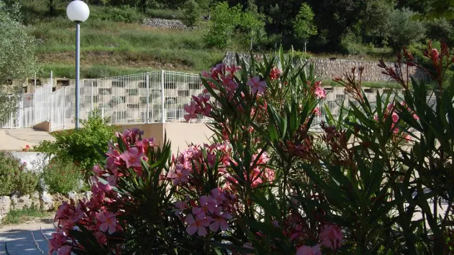 CAMPING LE VIEUX VALLON