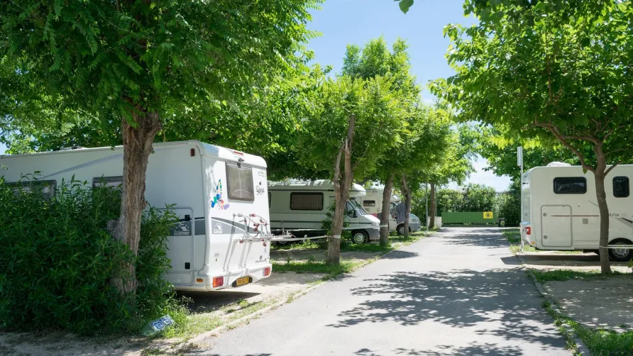 Camping Coll Vert