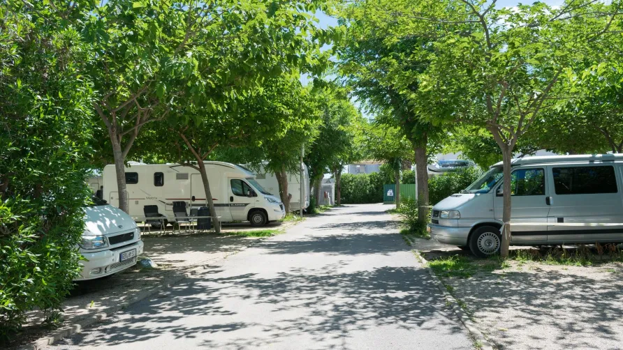 Camping Coll Vert