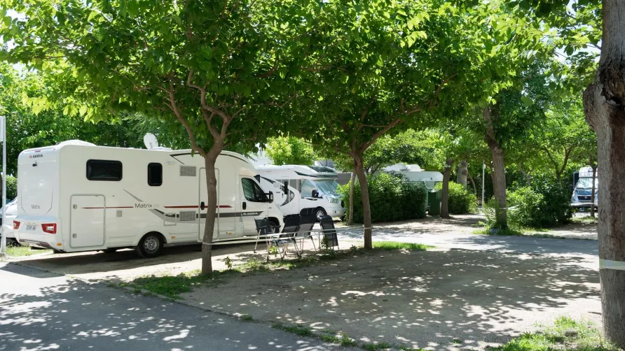 Camping Coll Vert