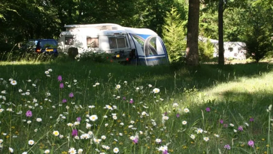 Ushuaïa Villages - Camping au Bois Joli ****