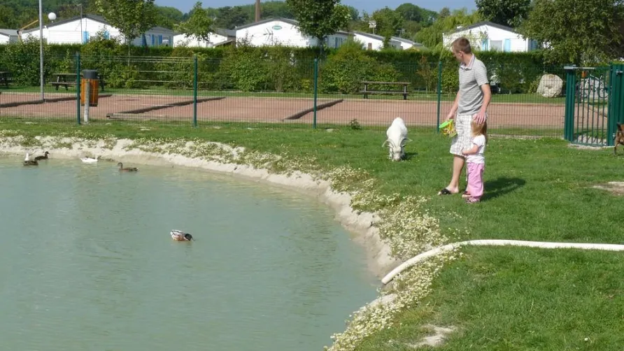 Camping des Roses