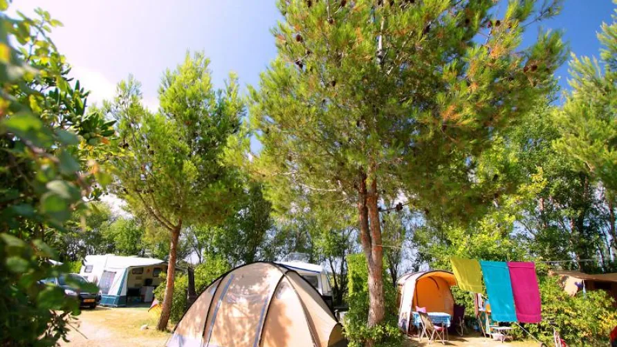 Capfun - Camping Les Mimosas