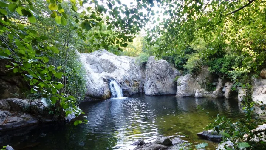 Flower Camping La Marette