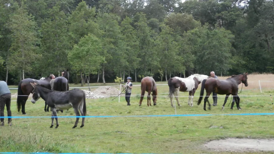 Camping La Rivière d'Argent