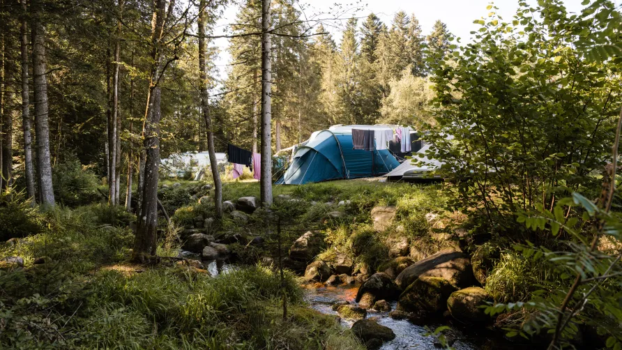 Flower Camping LA STENIOLE