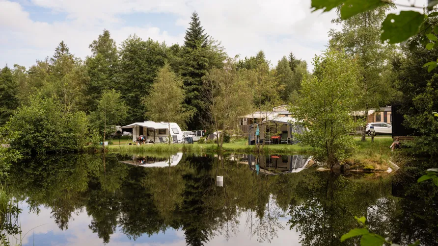 Flower Camping LA STENIOLE