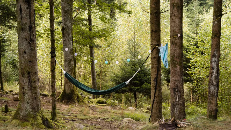Flower Camping LA STENIOLE