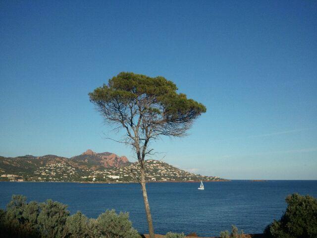 Camping de Parpaillon