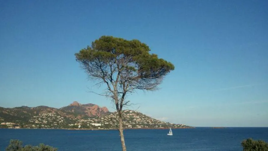 Camping de Parpaillon
