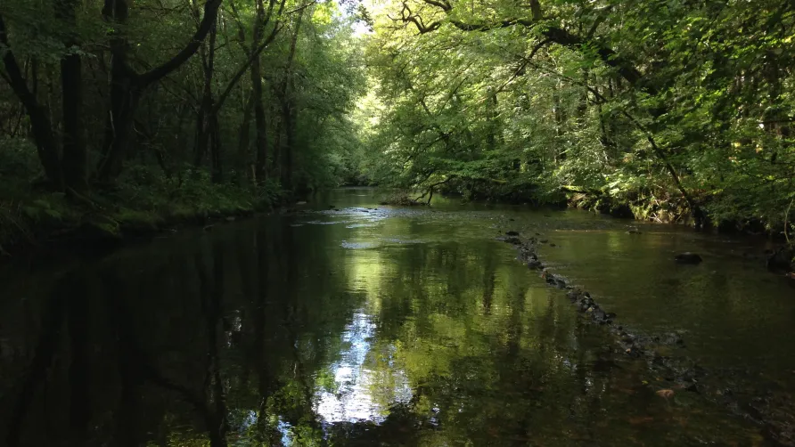 Au Bois de Calais