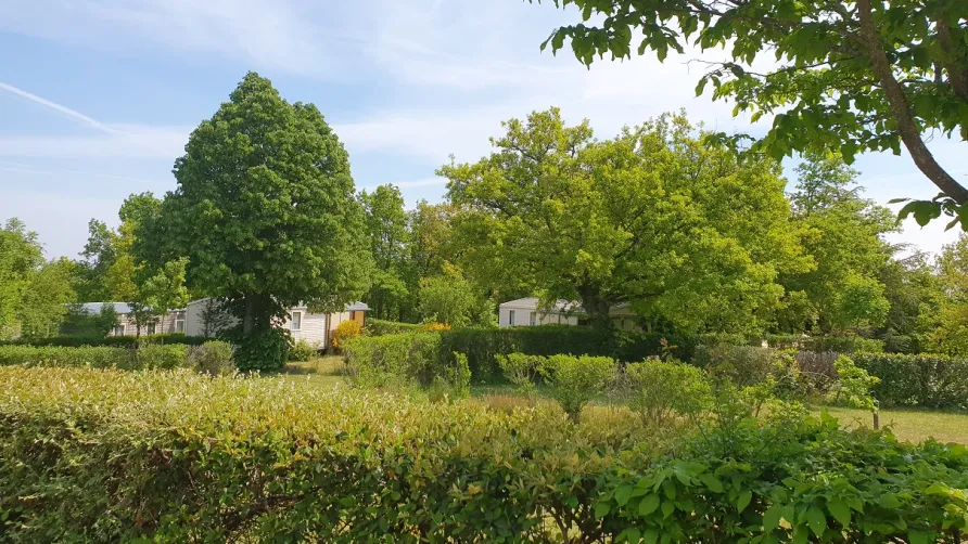 Camping Bel'époque du Pilat
