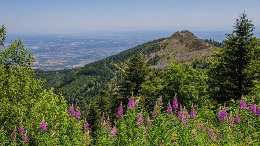 Camping Bel'époque du Pilat