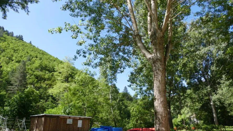 Camping COUDERC
