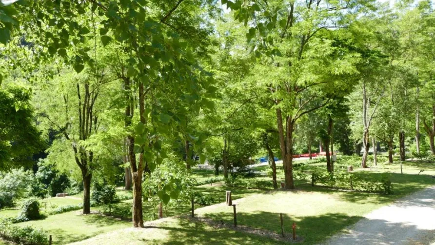 Camping COUDERC