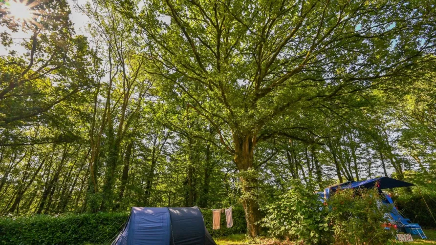 Camping AU GRÉ DES VENTS