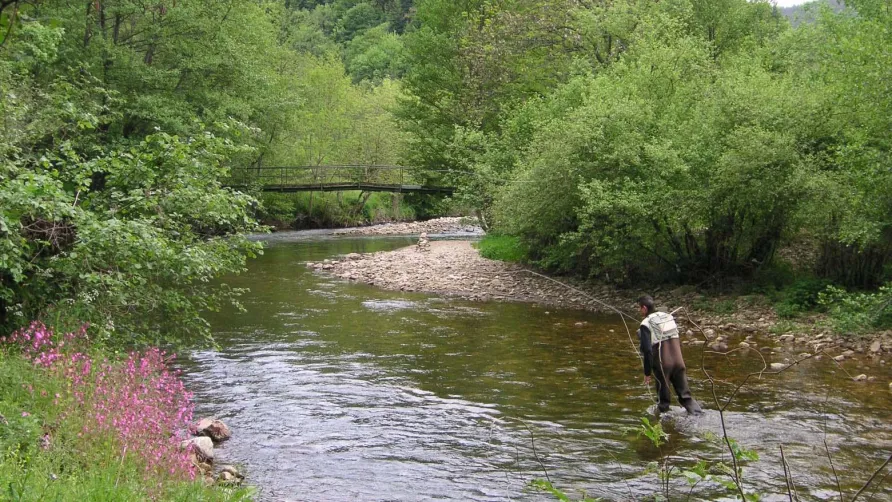 Sites et Paysages De Vaubarlet