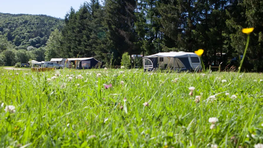 Sites et Paysages De Vaubarlet