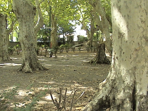 Camping Bagatelle