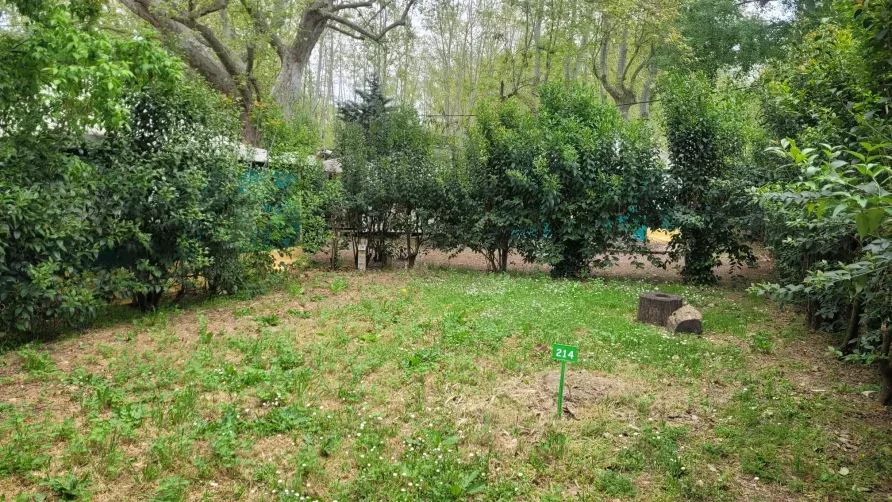 Camping Bagatelle
