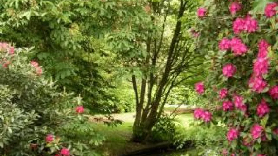 Camping Stadspark Groningen