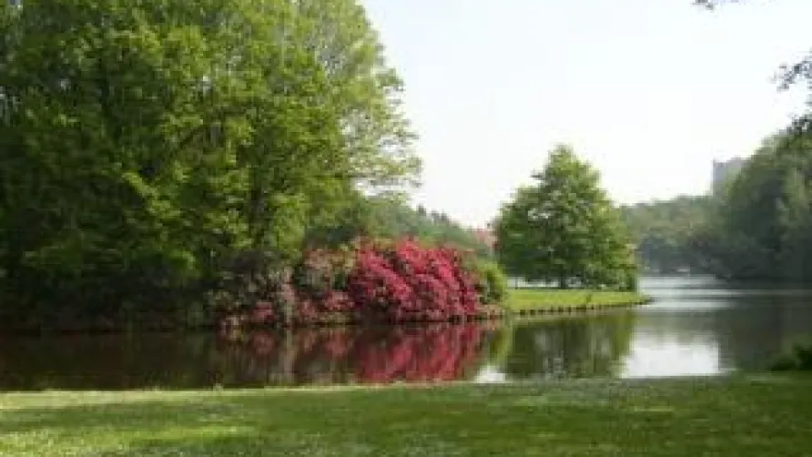 Camping Stadspark Groningen