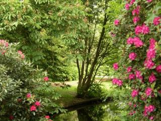 Camping Stadspark Groningen