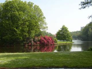 Camping Stadspark Groningen