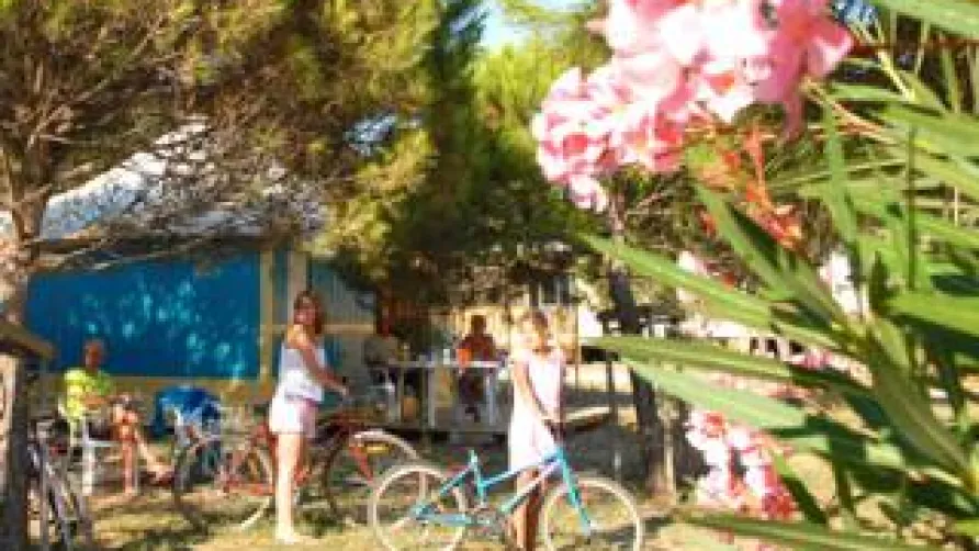 Campéole Eurosurf