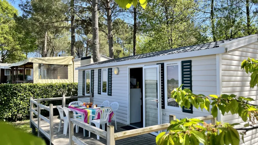 Flower Camping Le Pressoir