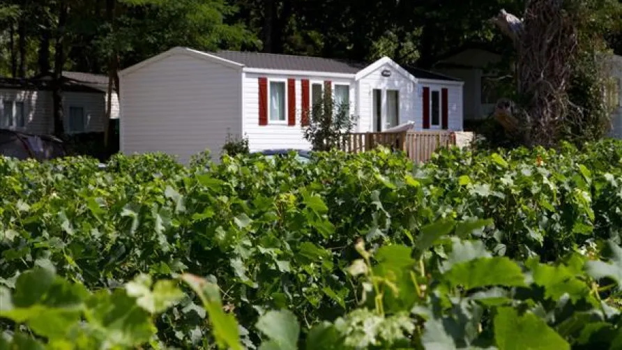 Flower Camping Le Pressoir