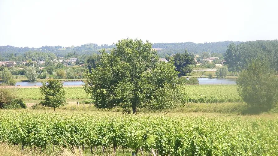 Flower Camping Le Pressoir