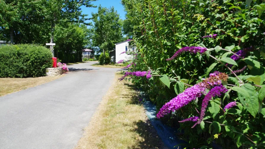Camping La Ferme de Lann Hoedic