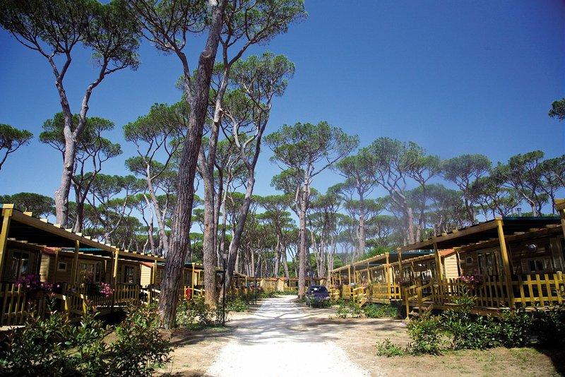 Homair - Park Albatros