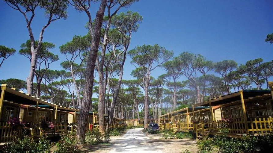 Homair - Park Albatros
