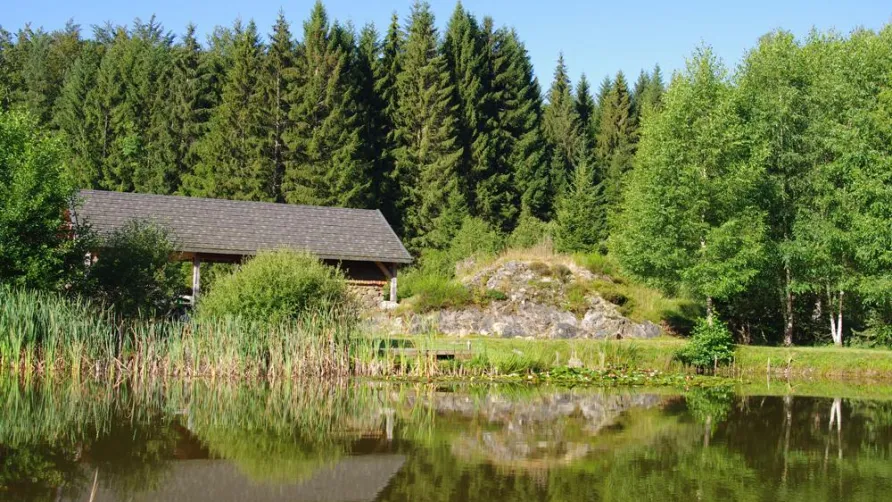 Chalets de l'Eau Verte et SPA