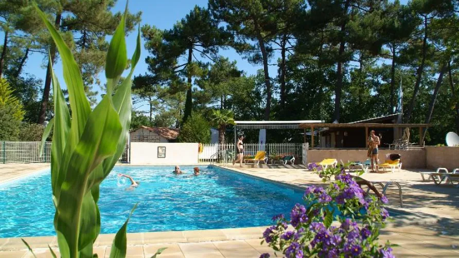 Camping Les Pins de la Coubre