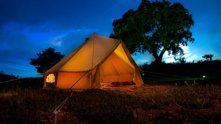 Camping Les Pins de la Coubre