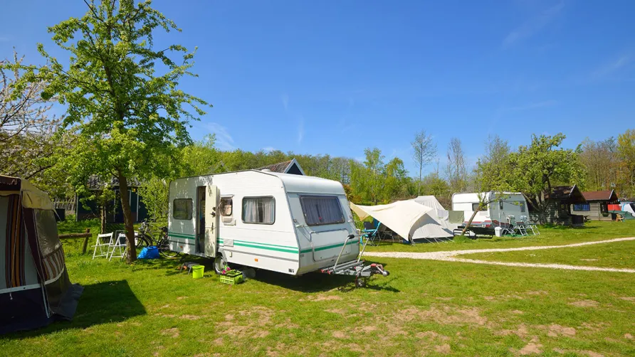 Camping Les Pins de la Coubre