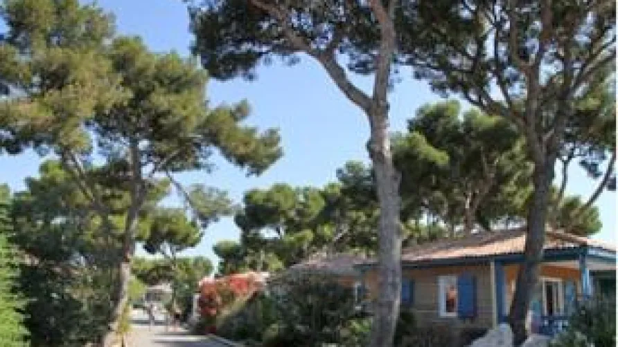 Camping L'Hippocampe - Les Chalets de la Mer