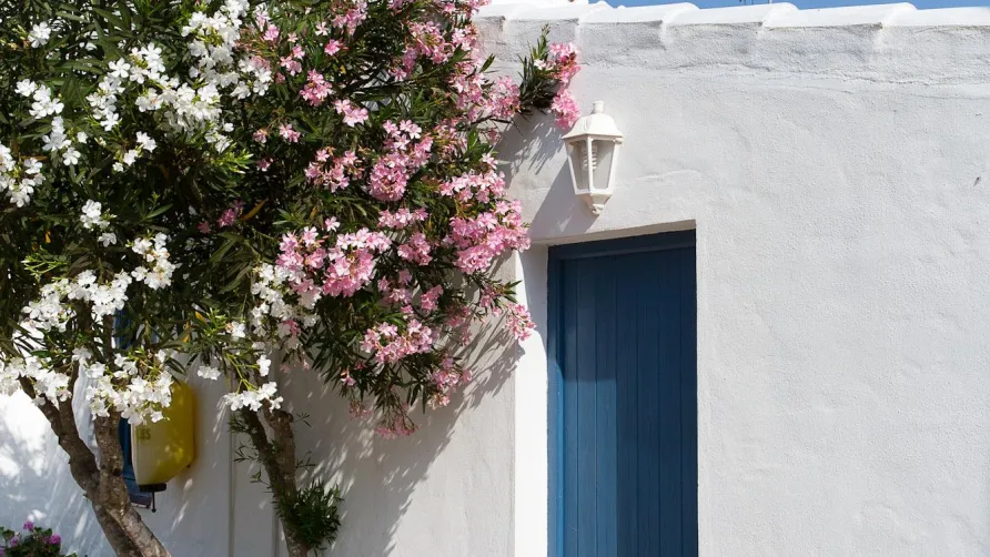 YELLOH! VILLAGE - LES BALEARES SON BOU