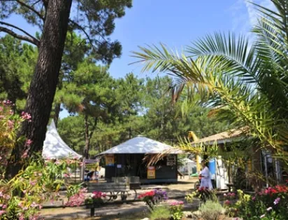 Camping Club Le Vivier - MS Vacances 