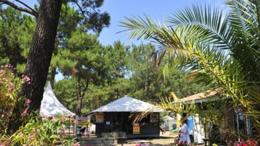 Camping Club Le Vivier - MS Vacances