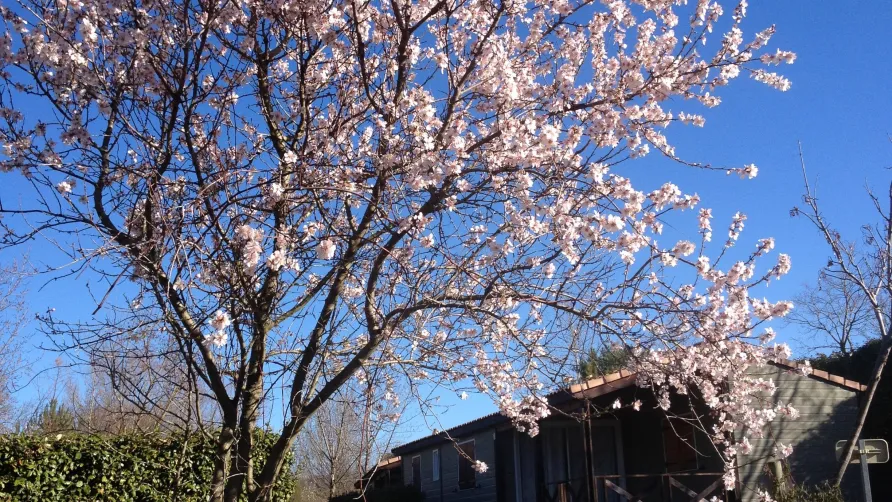 Le Moulin de Sainte Anne