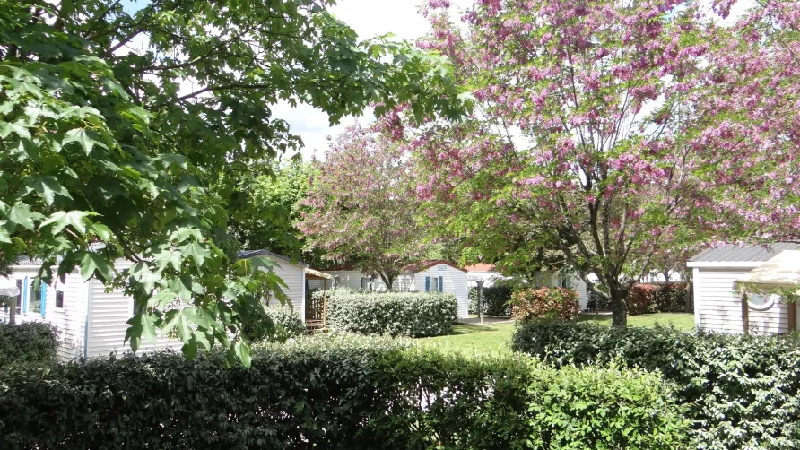 CAMPING LES HORTENSIAS